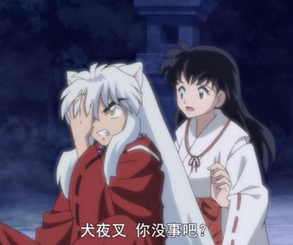 半妖的夜叉姬犬夜叉和戈薇去哪了