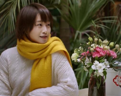 北辙南辕鲍雪结局