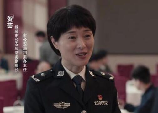 扫黑风暴贺芸身份