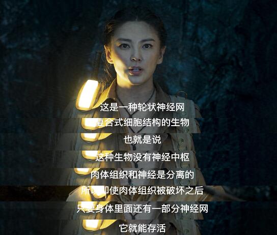 云南虫谷霍氏不死虫怎么死的