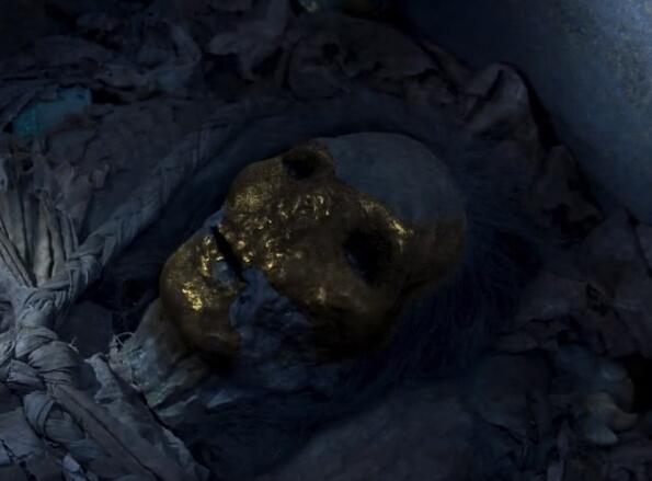 云南虫谷献王身份