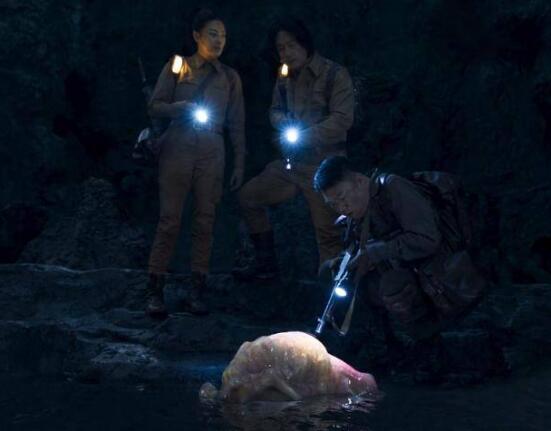 云南虫谷霍氏不死虫吐出箱子里是什么