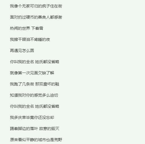 我擦干眼泪不肯睡的夜是什么歌