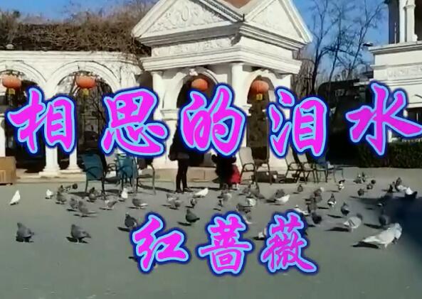 沉醉在梦中是什么歌