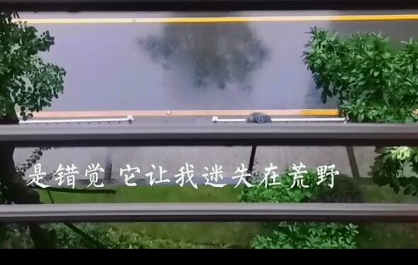 你出现又幻灭是错觉是什么歌
