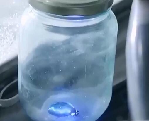 鬼吹灯火瓢虫为什么不伤害胡八一