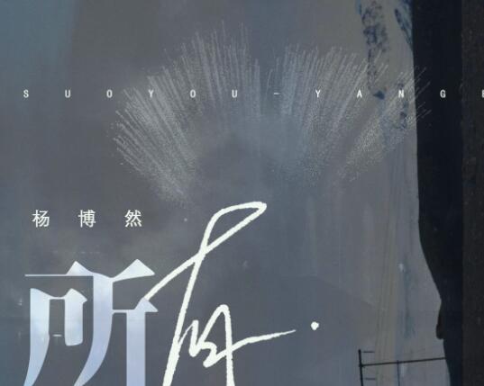 我给你所有热情所有偏执是什么歌