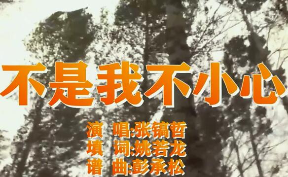 从来不敢仔细看你是什么歌