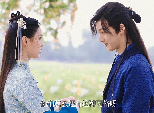 嘉南传庆安喜欢谁