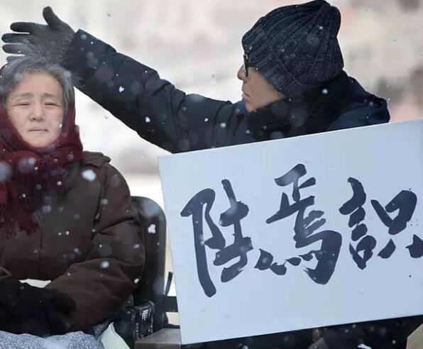 归来冯婉瑜和陆焉识相认了吗