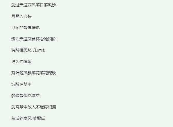 天涯西风落日落风沙是什么歌