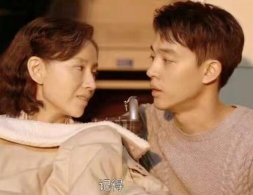 您好母亲大人丁小军结局