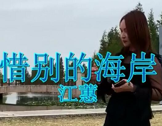 惜别的海岸原唱是谁