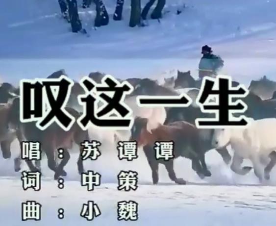 累了的时候只有灵魂在守候是什么歌