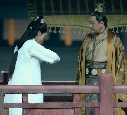 琅琊榜霓凰和皇上什么关系
