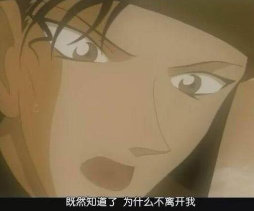赤井秀一喜欢宫野明美还是朱蒂