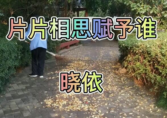 偏偏相思赋予谁是谁唱的