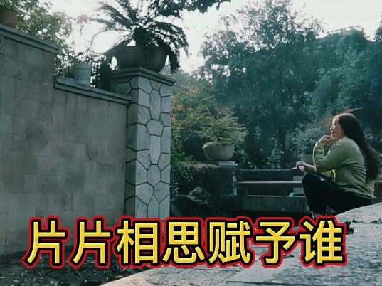 偏偏相思赋予谁是谁唱的
