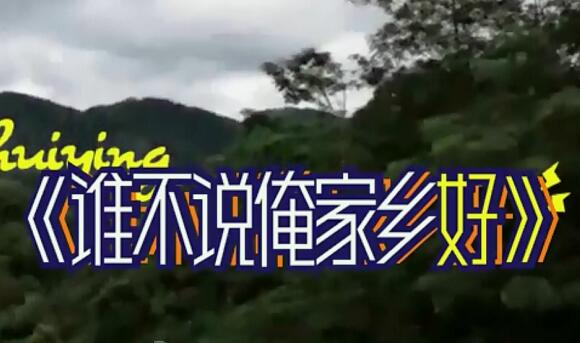 谁不说俺家乡好是什么电影插曲