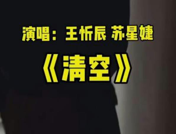 是我太傻太过天真才会把你的寂寞是什么歌