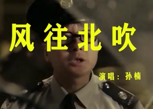 你的手一挥说要往北飞是哪首歌的