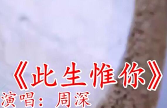 抖音长夜漫漫是什么歌