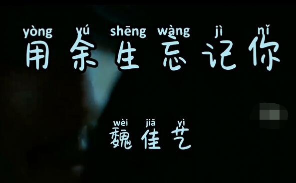 忘记你用一生的时光是什么歌