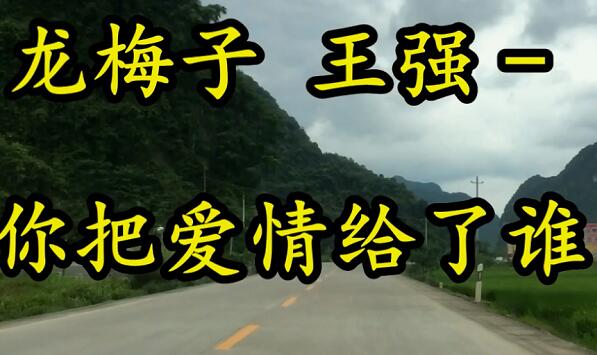 你说的无所谓我伤的狼狈是什么歌