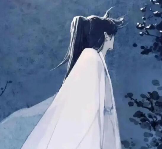 徐宝藻是徐凤年什么人