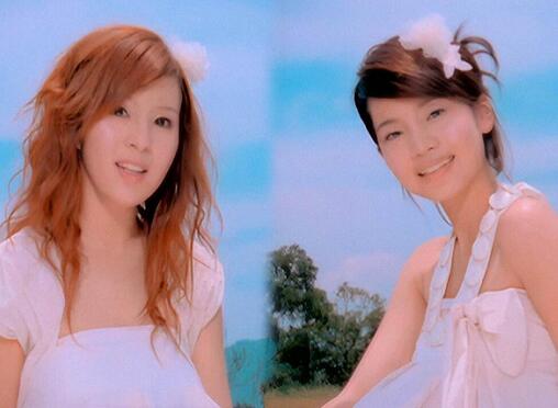 樱花草是谁唱的