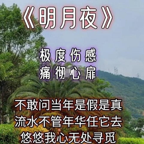 沉默是金的国语版是什么歌名