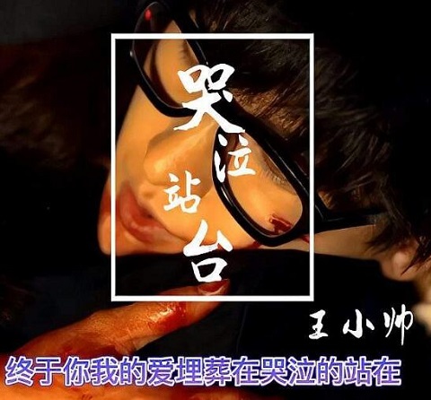 哭泣站台是什么电视剧的主题曲