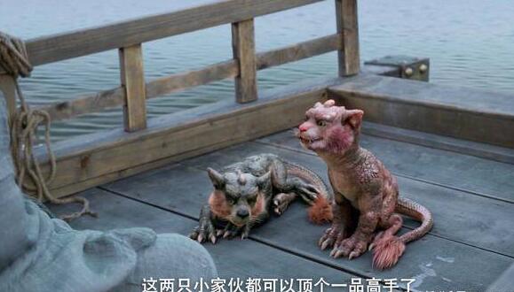 菩萨和金刚结局