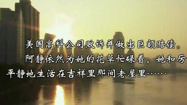 纯真的年代每个人结局