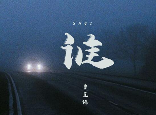 告别你的无情我的无悔是什么歌