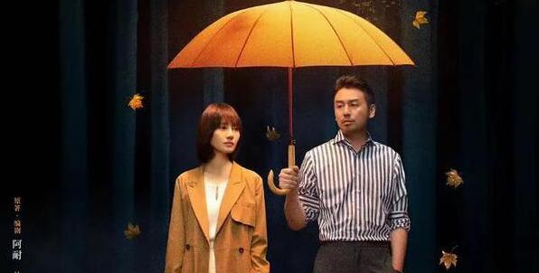 相逢时节周几更新