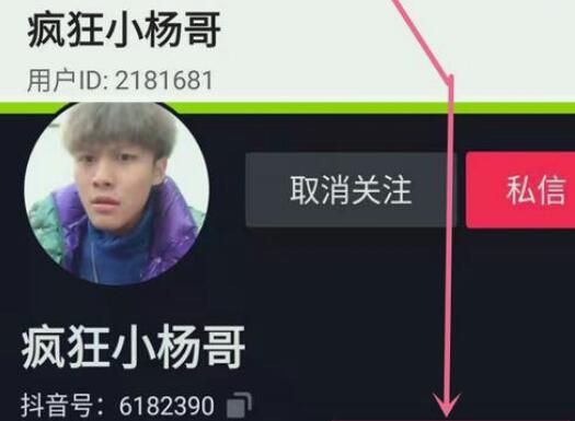 疯狂小杨哥是哪里的人