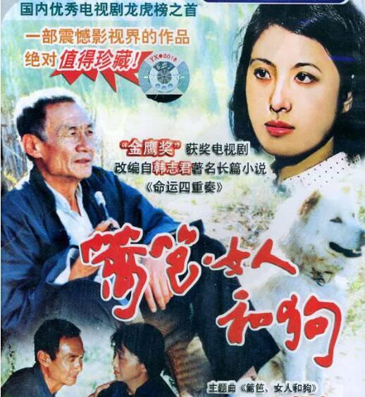 苦乐年华是哪个电视剧的主题曲