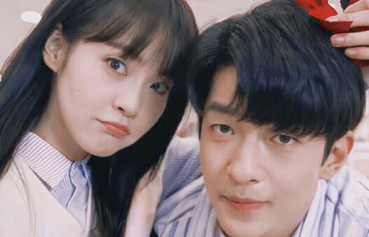 是麦子害的张万森吗