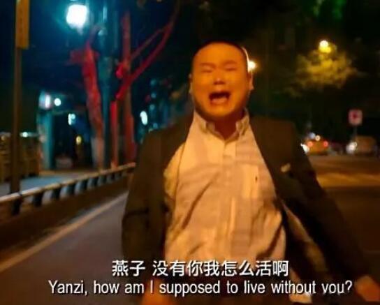 燕子没有你我怎么活啊是什么电影