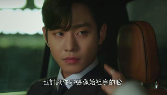 社内相亲始祖鸟什么意思