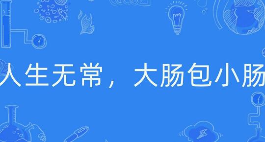 人生无常大肠包小肠是谁的台词