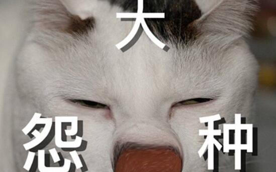 网络大冤种是什么意思