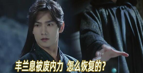 丰兰息最后武功怎么恢复的