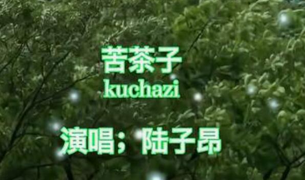 苦茶子歌曲原唱