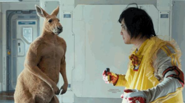 独行月球袋鼠是真的吗