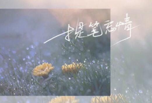 我也渴望有人哄有人宠是什么歌