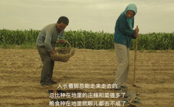 隐入尘烟贵英溺水为什么没人救