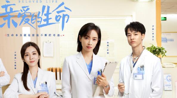 亲爱的生命讲的什么故事