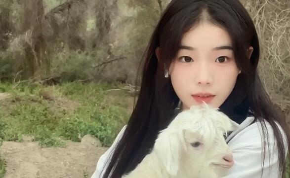 灰太狼的羊是哪里人